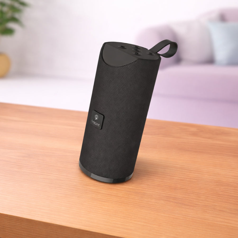 Speaker