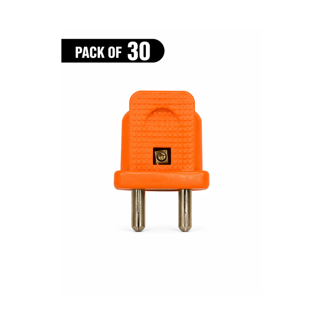 GOLD COIN 2 PIN